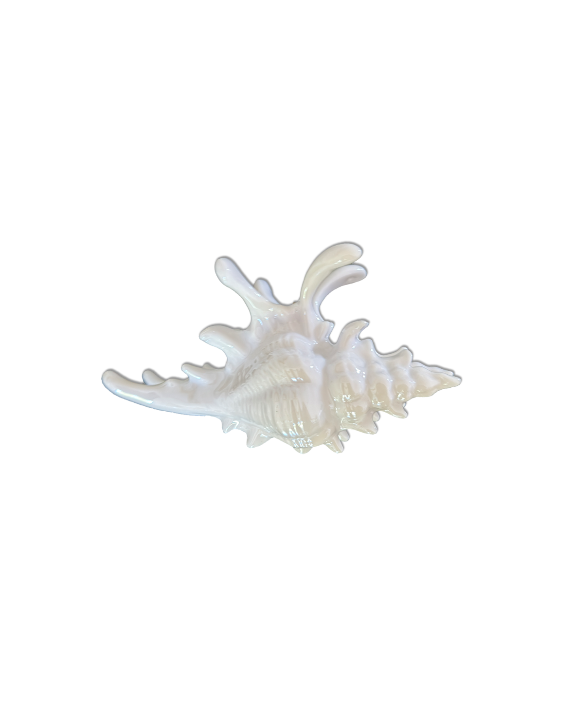 Ariel Clip