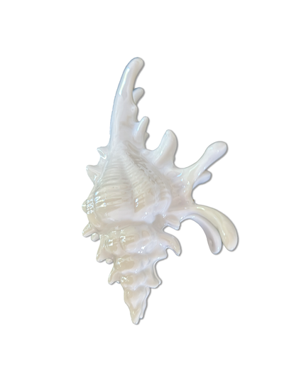 Ariel Clip